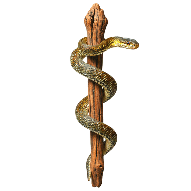 Rod of Asclepius